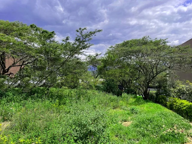 Hermoso Terreno de Venta en El Ingenio Puembo! Vista! — imagen 4