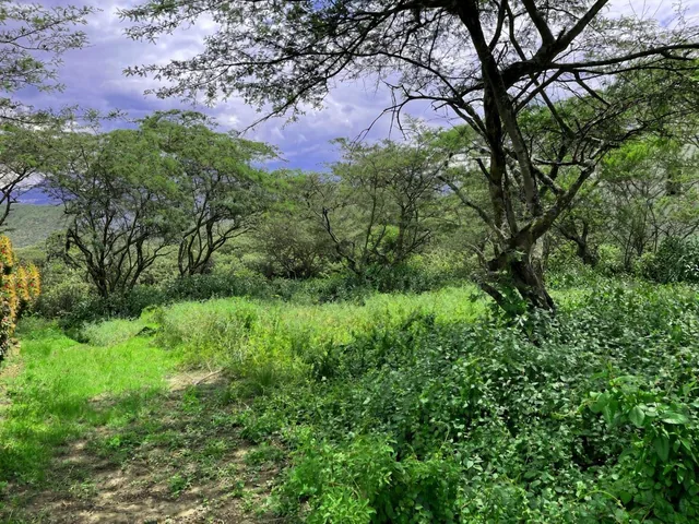 Hermoso Terreno de Venta en El Ingenio Puembo! Vista! — imagen 2