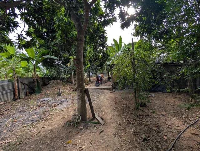 Terreno en Venta en Via Panamericana, Arenillas, El Oro — imagen 5