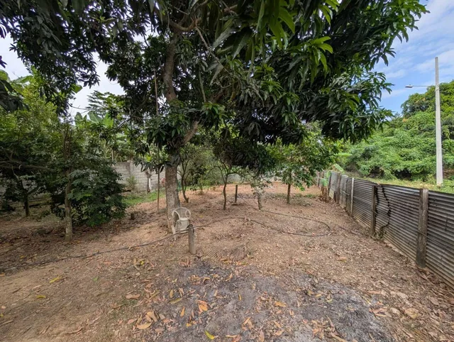 Terreno en Venta en Via Panamericana, Arenillas, El Oro — imagen 2