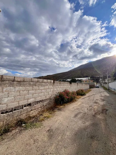 En Venta Terreno de 1650 m² en Pomasqui — imagen 4