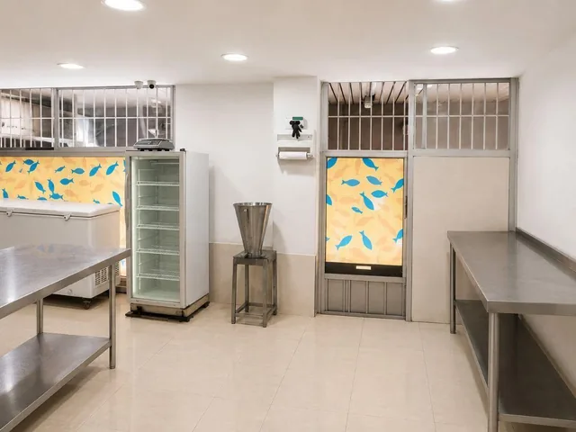 Local Comercial de 183 m² en Venta o Alquiler | 3 Niveles en Zona Bancaria de Alto Tráfico, Guayas — imagen 5