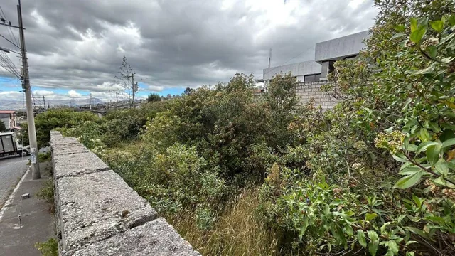 Vendo Terreno Casi 40 m de Frente Esquinero — imagen 2