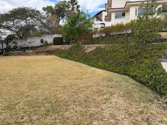 Terreno con Dph de 640 m² en Venta en Tumbaco Proyecto Aprobado Para Casa de 280 m Urb. Algarrobos — imagen 4