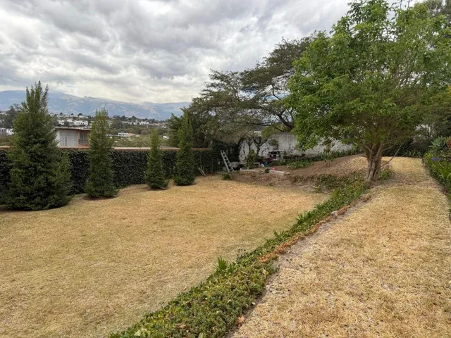 Terreno con Dph de 640 m² en Venta en Tumbaco Proyecto Aprobado Para Casa de 280 m Urb. Algarrobos — imagen 3