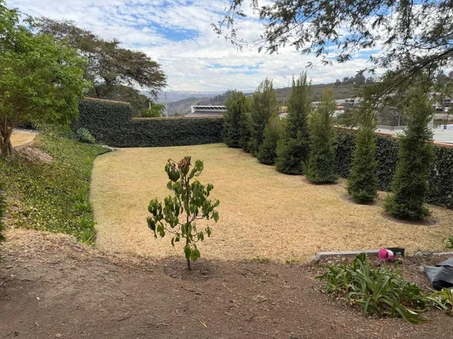 Terreno con Dph de 640 m² en Venta en Tumbaco Proyecto Aprobado Para Casa de 280 m Urb. Algarrobos — imagen 2