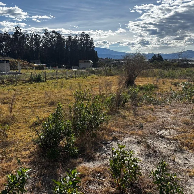 Vendo Terreno de 200 m² en Pifo - Derechos y Acciones — imagen 2