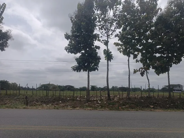 Venta de Terreno de 8,527 m² en Vía a Vinces, Los Ríos — imagen 5