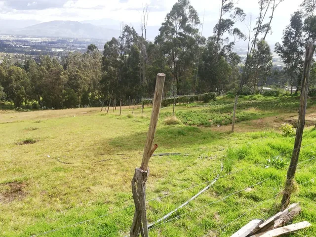 Terreno con Casas en Venta Yaruquí (1 Hectárea) con Vista — imagen 5
