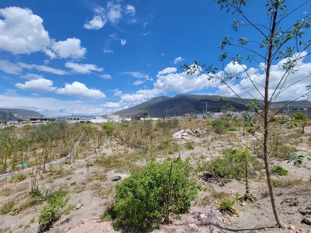 Terreno 25.000 m² Constructores Vivienda Vip Interes Popular — imagen 5