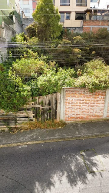 Terreno en Venta Ponceano — imagen 2