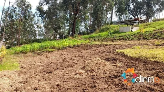 Terreno en Venta con Cerramiento Yaruquí 9.500 m² con Vista — imagen 3