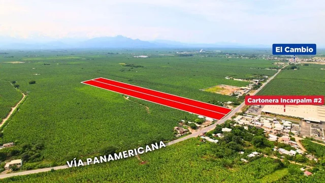Venta de Macrolote Via Panamericana, por Incarpalm, El Oro — imagen 4