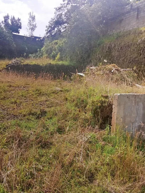 Propiedad Comercial Sector Obrero Quiteño, La Argelia — imagen 4