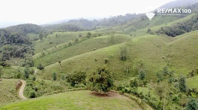Venta Finca de 81.2011 Has - Carchipulla/santa Rosa, El Oro — imagen 4