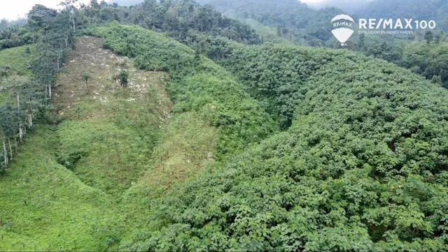 Venta Finca de 81.2011 Has - Carchipulla/santa Rosa, El Oro — imagen 3