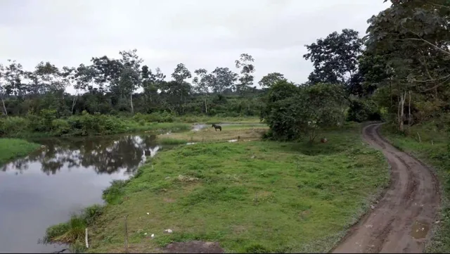 Venta Finca de 81.2011 Has - Carchipulla/santa Rosa, El Oro — imagen 2