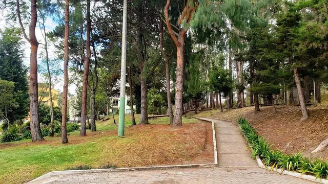 Departamento en Venta Quito Urbanizacion Jardines del Batan — imagen 3