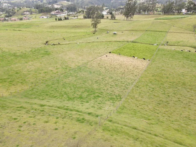Terreno de Una Hectarea en Tarqui, Sector Rosa de Oro, Azuay — imagen 5
