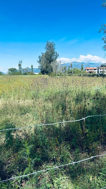 Venta Puemb0 11.308 m² Excelente Terreno Plano Proyectos — imagen 5