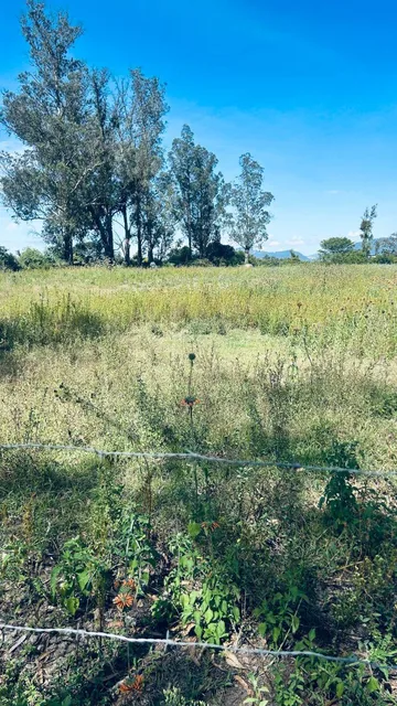 Venta Puemb0 11.308 m² Excelente Terreno Plano Proyectos — imagen 3