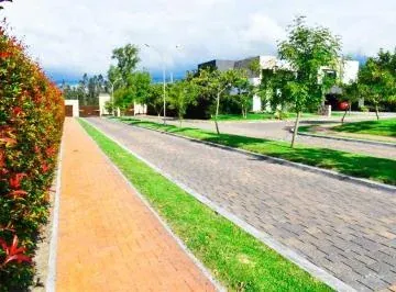De Oportunidad Terreno de Venta en Puembo! — imagen 3