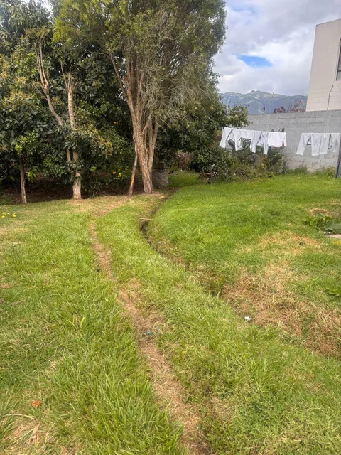 Vendo Lindo Terreno Independiente en Puembo, Muy Cerca a Plazas y a La Carretera con Pequeña Cabañ — imagen 2
