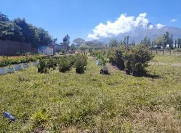 Venta Terreno Atuntaqui - Andrade Marin, Imbabura — imagen 4