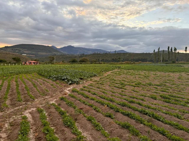 Terreno en Imbaya, Imbabura — imagen 5