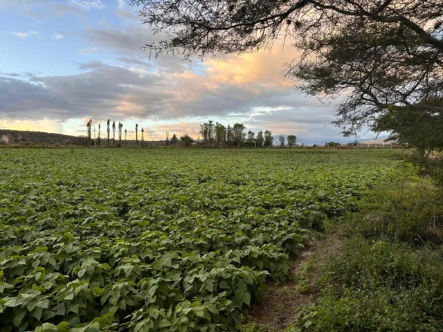 Terreno en Imbaya, Imbabura — imagen 3