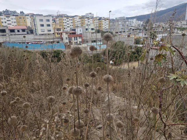 Terreno 470 m² en Venta – Carcelén Mastodontes — imagen 5
