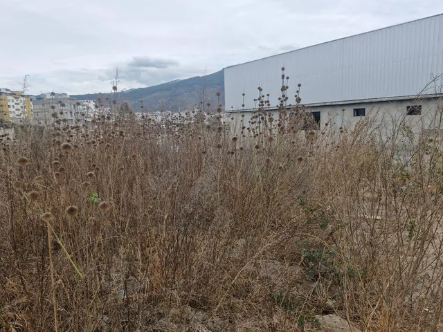 Terreno 470 m² en Venta – Carcelén Mastodontes — imagen 4