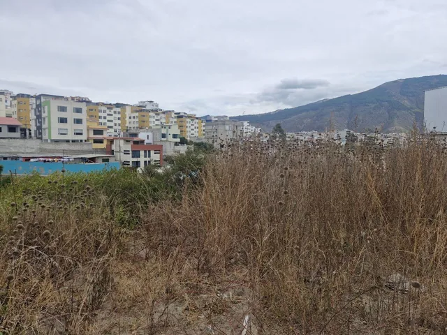 Terreno 470 m² en Venta – Carcelén Mastodontes — imagen 3