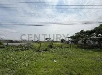 Venta de Terreno Sobre La Via Salitre, Guayas — imagen 2