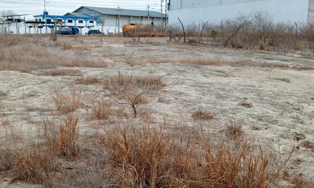 Hermosa Propiedad en Oferta en La Via Manta Rocafuerte (500 M²), Manabí — imagen 3