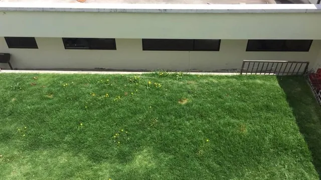 Se Vende Amplia Casa Al Norte de Quito. Sector San Fernando. Provincia de Pichincha — imagen 3