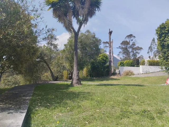 Sector Cumbaya - Miravalle, en Venta Terreno 9.322 m² (Mv) — imagen 5