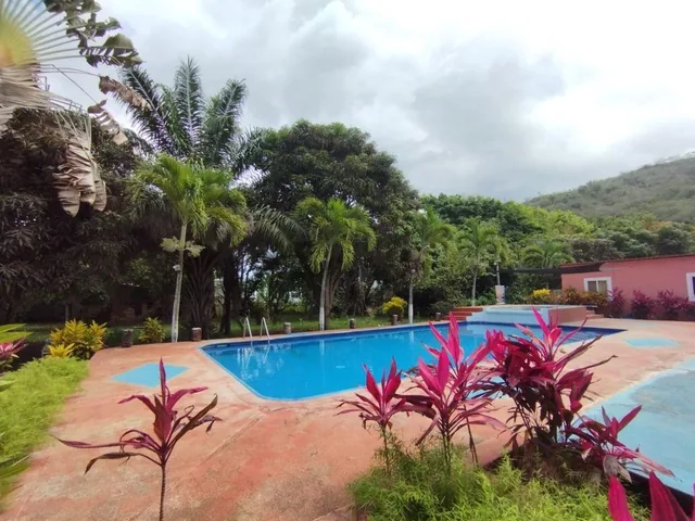Vendo Terreno 10.000 m, Atacames, Vía Súa. Provincia de Esmeraldas — imagen 2