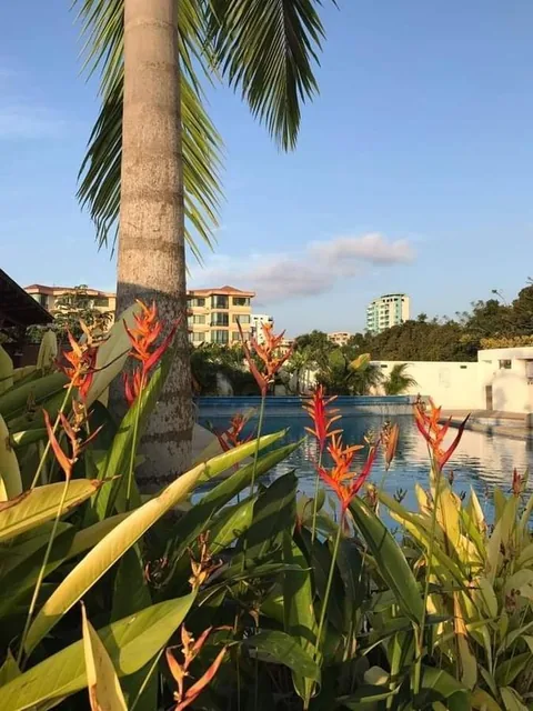 Venta Departamento Amoblado en Esmeraldas — imagen 3