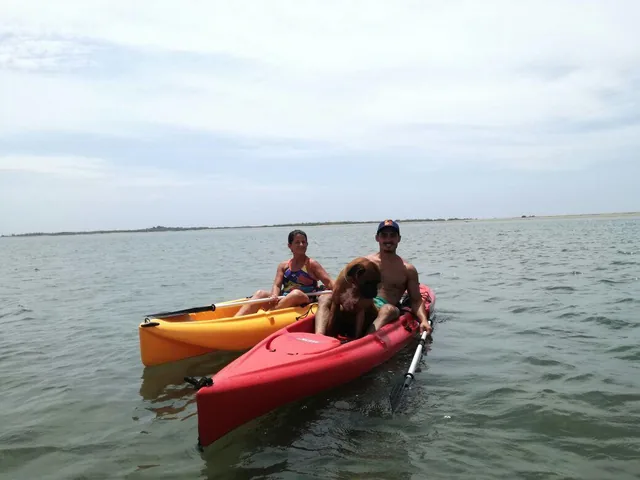 Isla de Portete Paradisíaco Terrenos Desde 2.500 m². Exclusivo, Tranquilidad — imagen 2