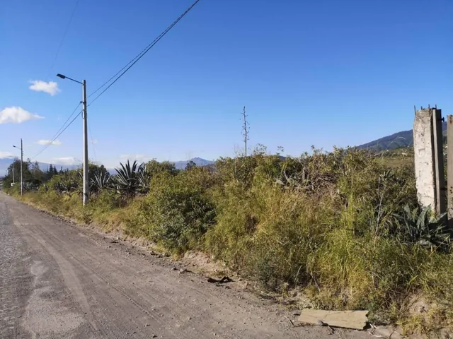 Vendo - Terreno - Tumbaco Sector La Cantarilla — imagen 4