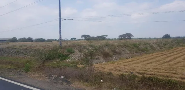 En Venta Terreno en Vía T Daule - Salitre - Mae. Recalde, Guayas — imagen 2