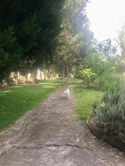 Espectacular Terreno Sector Tababela Venta — imagen 2
