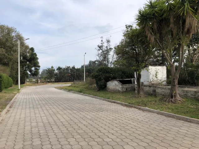 Vendo Terreno Plano Vía Pifo — imagen 4