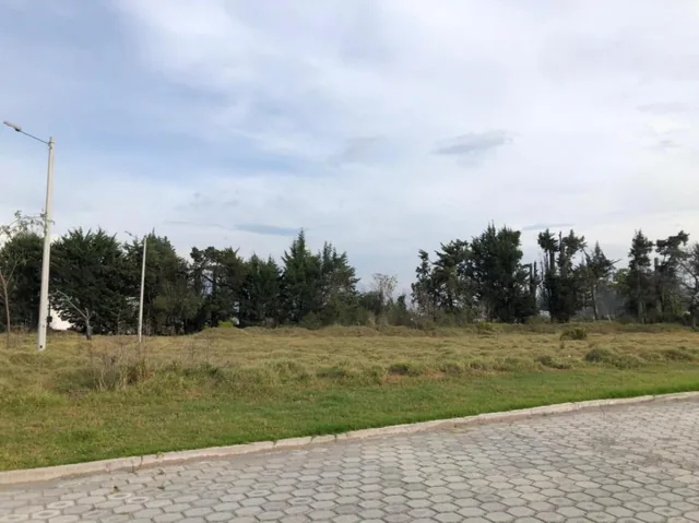 Vendo Terreno Plano Vía Pifo — imagen 2