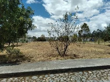 Vendo Tabacundo Terreno 800 m² Plano Urb. Cerrada — imagen 5