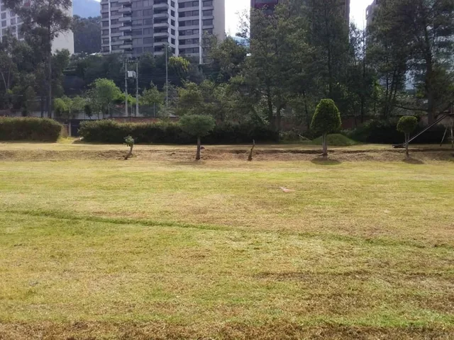 Vendo Precioso Terreno Quito Tenis 4.000 m² Terreno $5´000.000 — imagen 3