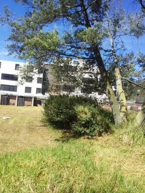 Vendo Precioso Terreno Quito Tenis 4.000 m² Terreno $5´000.000 — imagen 2