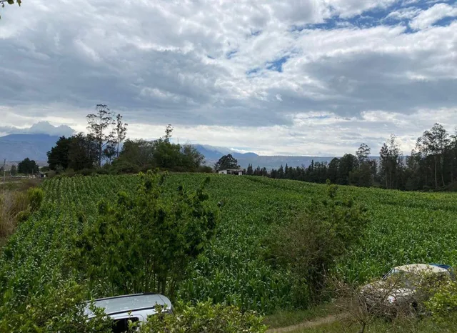 Terreno de Venta Ubicado en Guayllabamba, Árboles Frutales — imagen 3