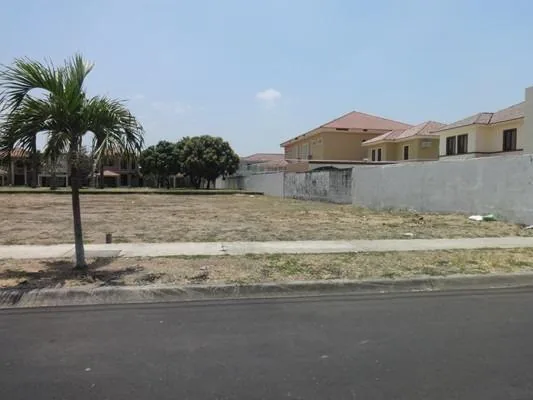 Este Terreno en La Urb. Santa Maria de Casa Grande Esta Listo Para La Compra, Guayas — imagen 4